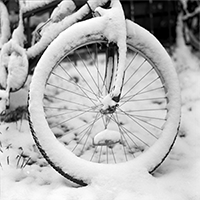 wheel